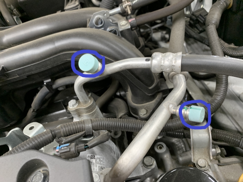 IMG_3147 - コピー.jpeg