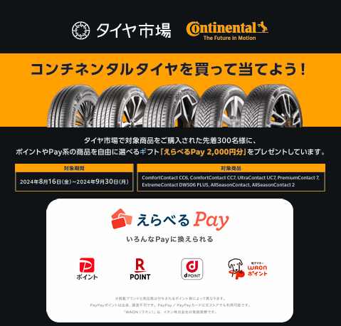 スクリーンショット 2024-08-30 165407.png