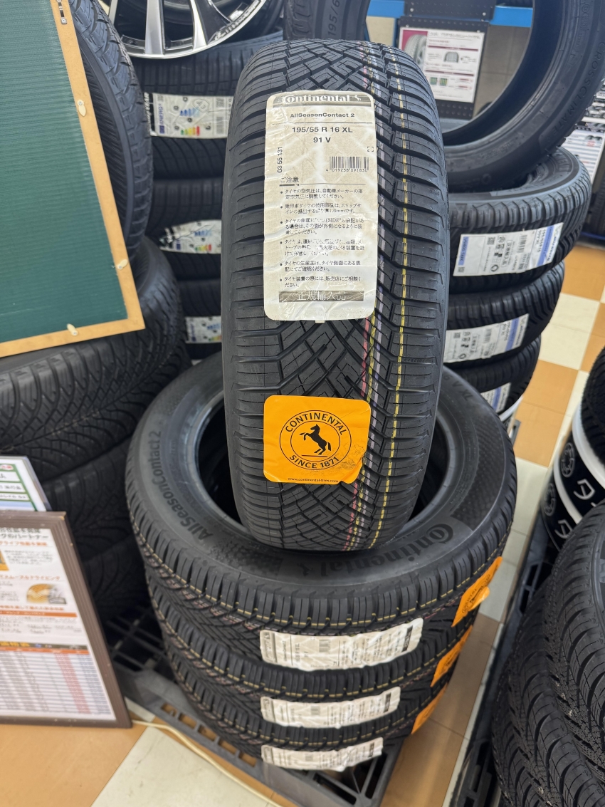 オールシーズンコンタクト2 画像.jpg