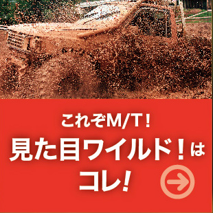 これぞM/T!見た目ワイルド!はコレ!