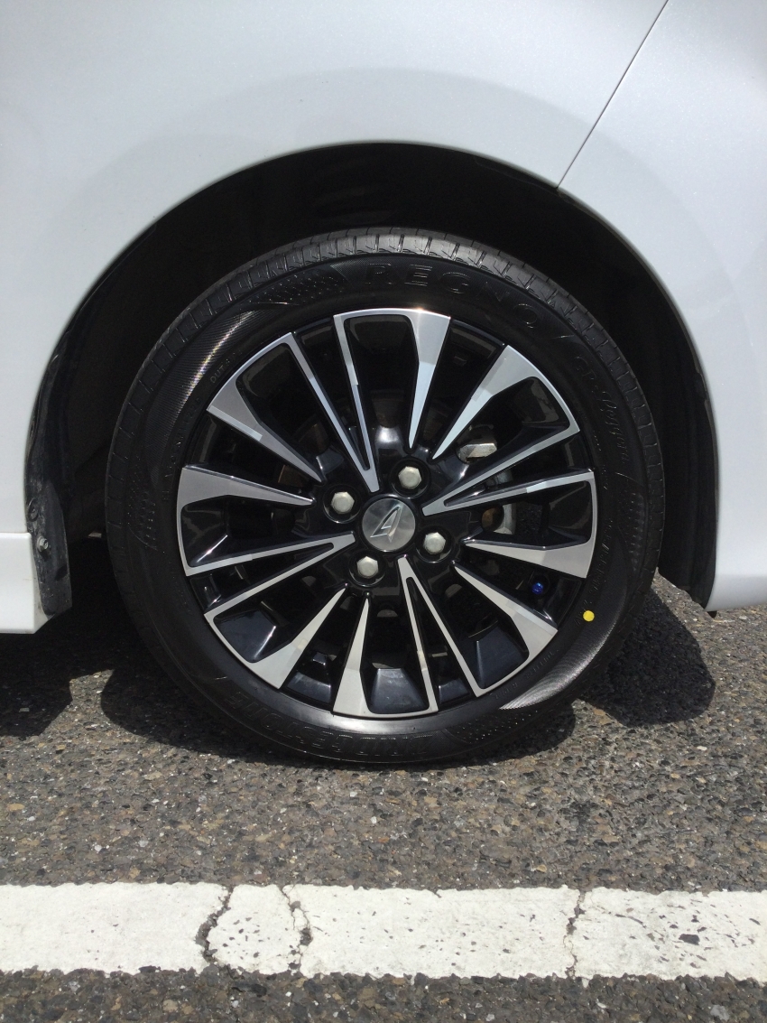 DHTTANTBSGRL (5).JPG