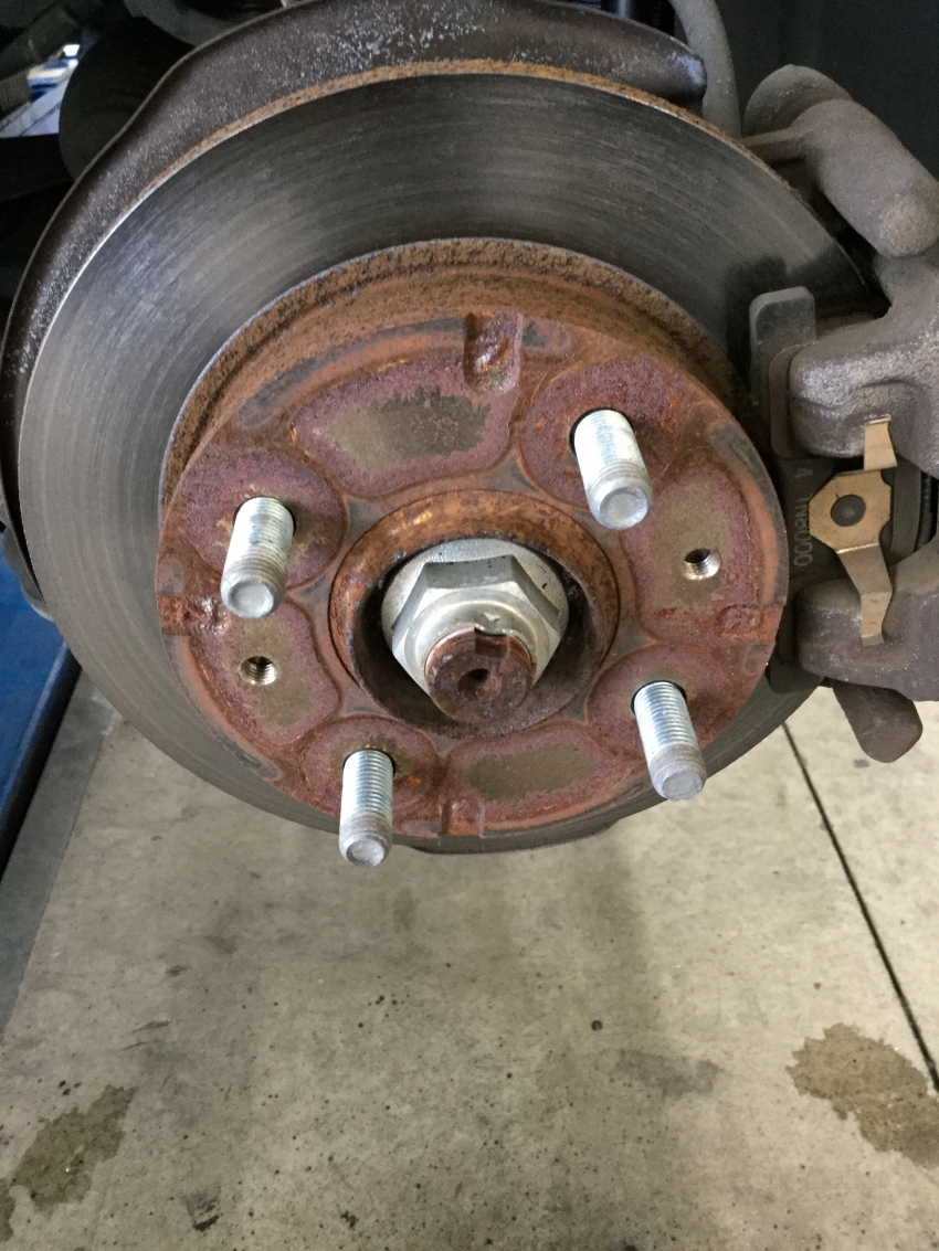 dodongadondondon (2).JPG