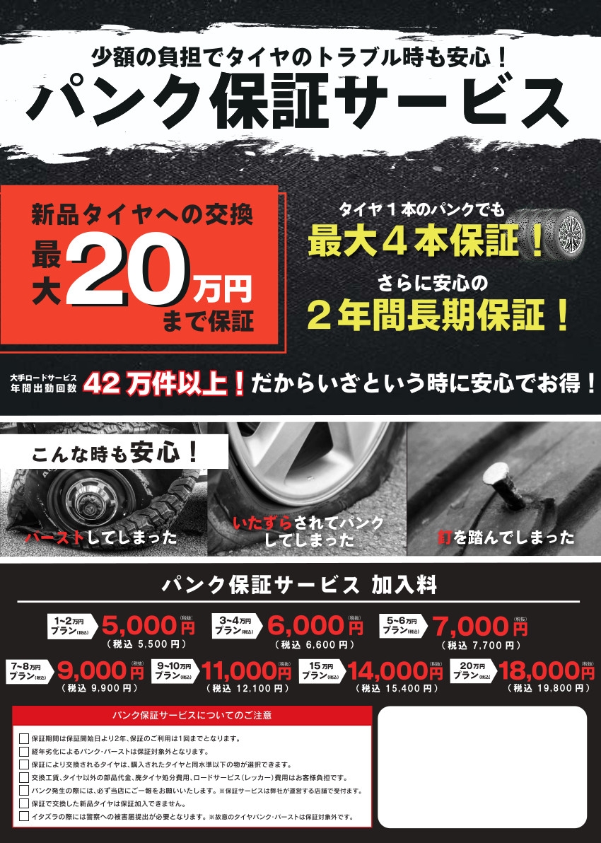 punk_leaflet_front (1).jpg